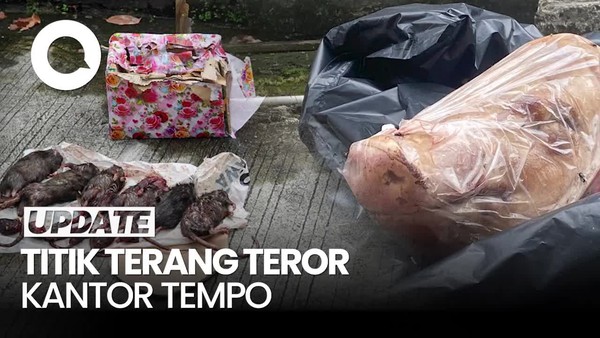 Video Polisi Kantongi Identitas Kurir Pengirim Kepala Babi ke Kantor Tempo 