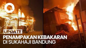Video: Kebakaran Hebat di Deretan Kios Kayu Sukahaji Bandung, Penyebabnya Misterius