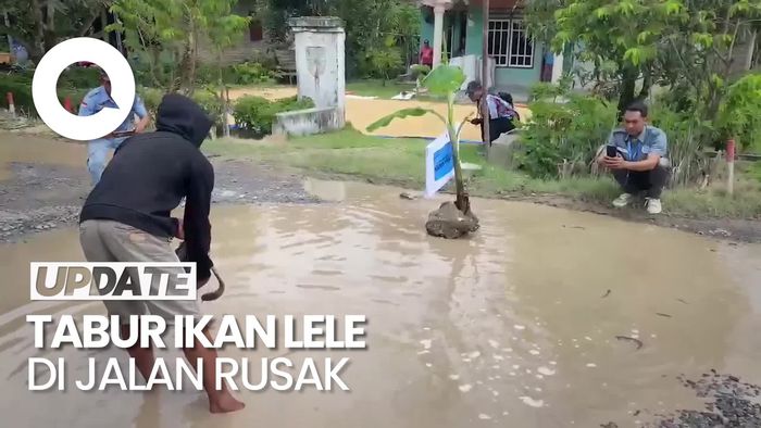 Video Warga Lampung Selatan Tabur Lele di Jalan Rusak