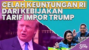 Misbakhun Bicara Strategi RI Hadapi Perang Dagang
