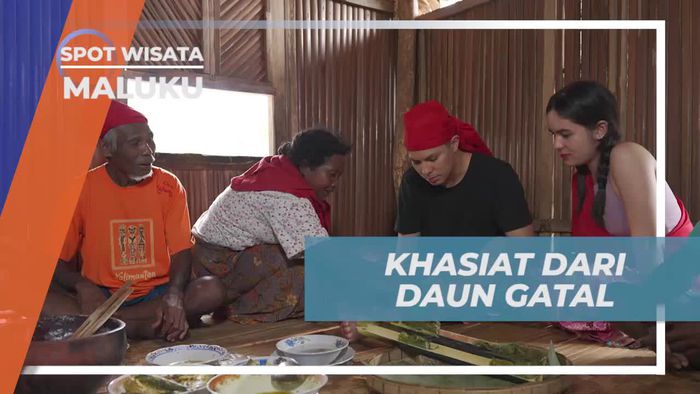 Membuktikan Khasiat Daun Gatal Setelah Menikmati Hidangan di Maluku