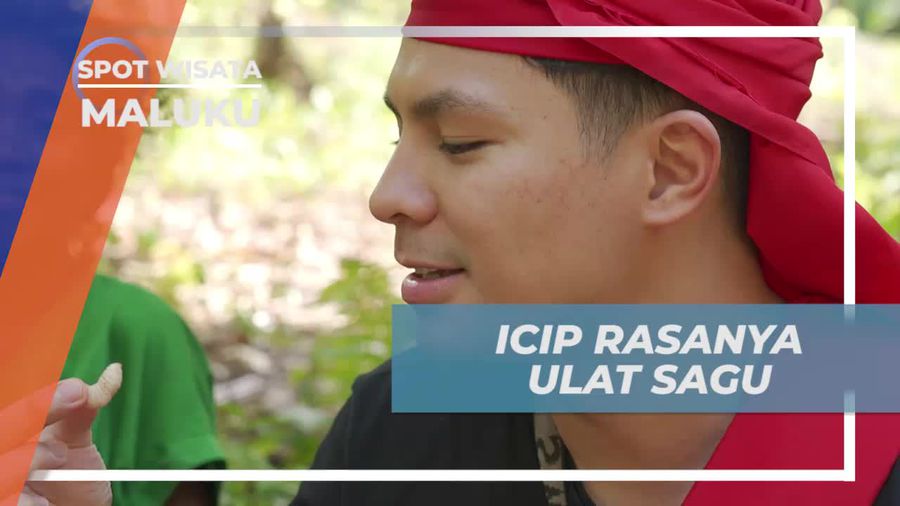 Mencicipi Rasa Unik Ulat Sagu Segar di Maluku