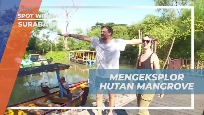 Eksplorasi Hutan Mangrove dengan Petualangan Naik Perahu di Surabaya