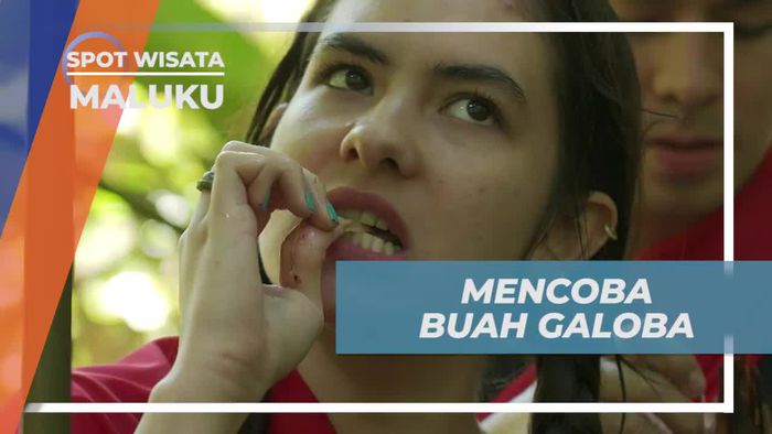 Menemukan Buah Galoba yang Lezat di Maluku