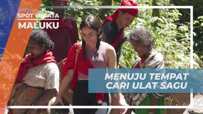 Bersafari di Hutan untuk Mencari Ulat Sagu di Maluku