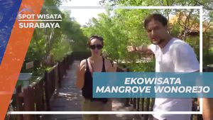 Jelajahi Keindahan Ekowisata Mangrove Wonorejo di Surabaya
