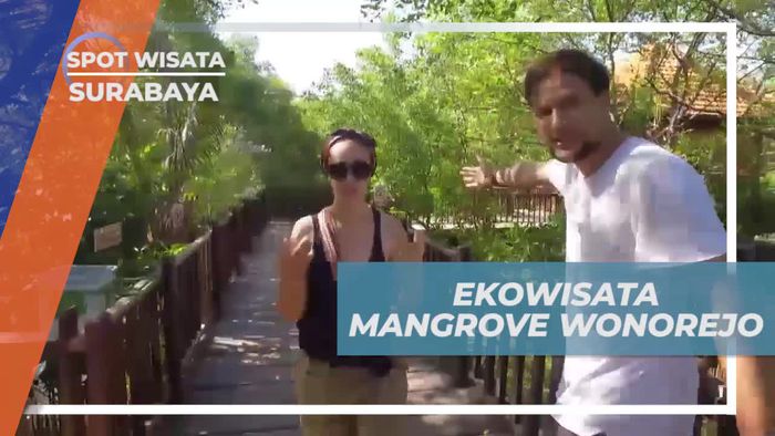 Jelajahi Keindahan Ekowisata Mangrove Wonorejo di Surabaya