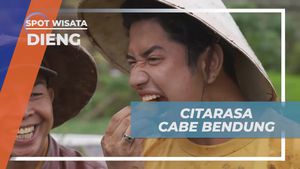 Mencicipi Citarasa Cabe Bendung di Dieng