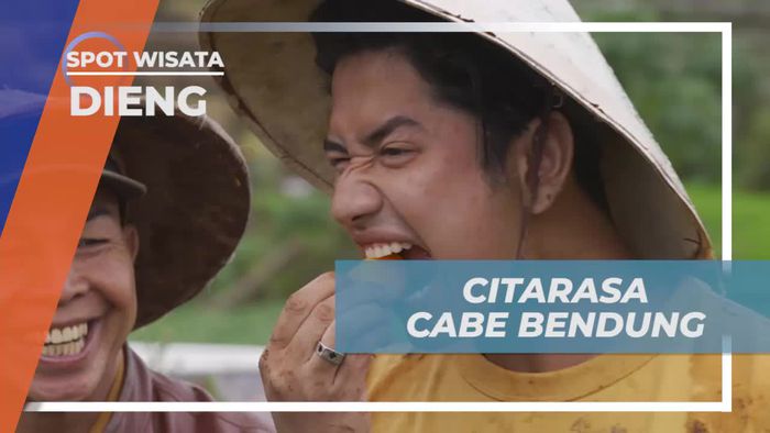 Mencicipi Citarasa Cabe Bendung di Dieng