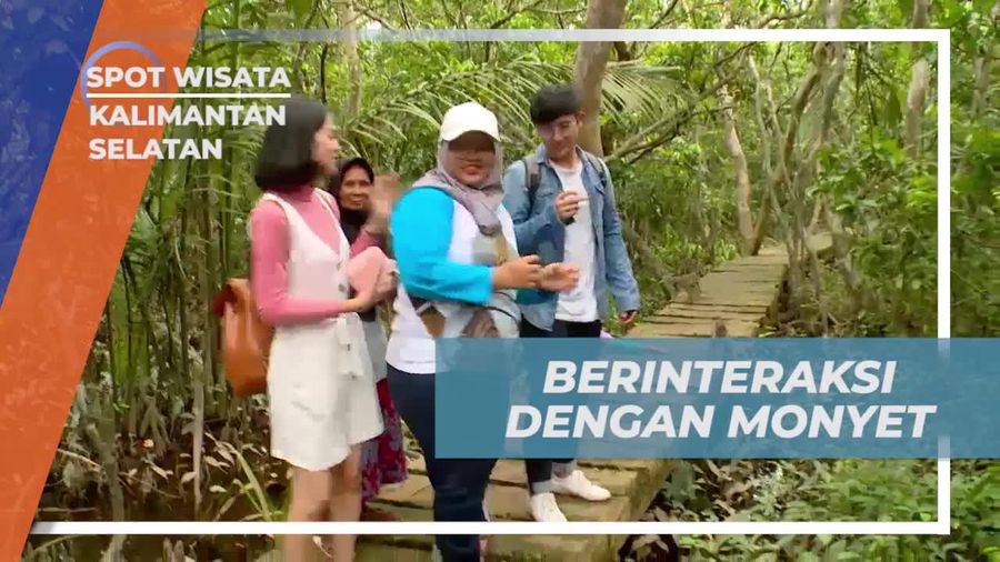 Berinteraksi dengan Monyet Lucu di Kalimantan Selatan