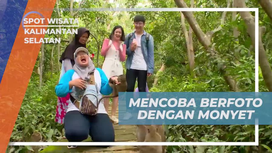 Berfoto Bersama Monyet di Pulau Kembang, Kalimantan Selatan
