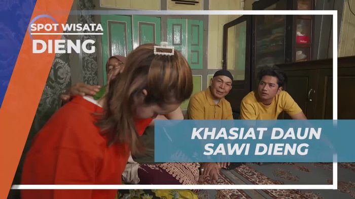 Menemukan Khasiat Daun Sawi di Dieng