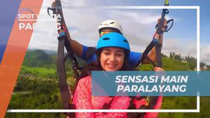Menggapai Mimpi Melayang di Udara dengan Paralayang di Padang