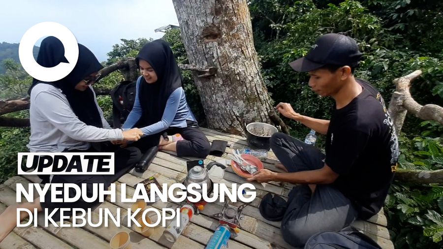 Video: Sensasi Nyeduh Kopi Langsung dari Kebun di Puncak Gunung Muria