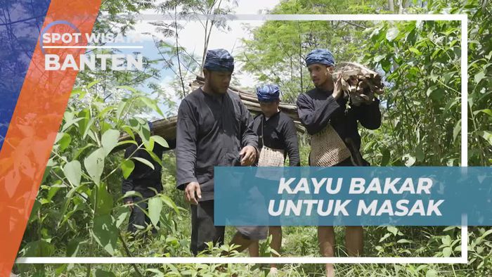 Kumpulkan Kayu Bakar untuk Kehidupan Sehari-hari Warga Suku Baduy, Banten