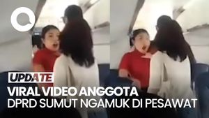 Video: Viral Anggota DPRD Sumut Ngamuk dan Coba Cekik Pramugari di Pesawat