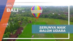 Menikmati Keindahan dari Atas Saat Naik Balon Udara di Bali