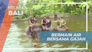 Bermain Air Seru Bersama Gajah di Bali