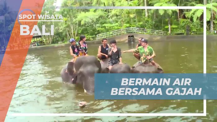 Bermain Air Seru Bersama Gajah di Bali