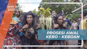 Mengikuti Prosesi Bersejarah Kebo-Keboan di Desa Aliyan, Banyuwangi