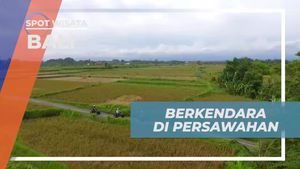 Berkendara Seru di Antara Sawah yang Indah di Bali