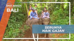 Bermain Ceria Bersama Gajah di Mason Elephant Park, Bali