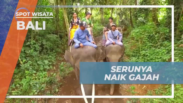 Bermain Ceria Bersama Gajah di Mason Elephant Park, Bali