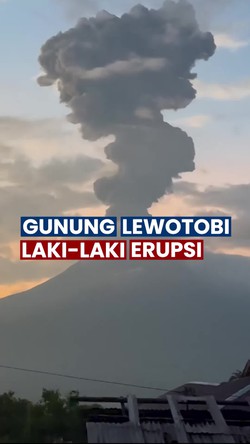 Video: Gunung Lewotobi Laki-laki Erupsi Pagi Ini, Tinggi Letusan Capai 3.500 Meter