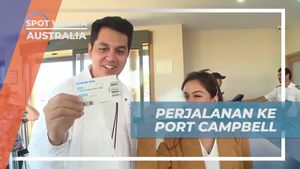 Mengagumi Keindahan Port Campbell di Australia