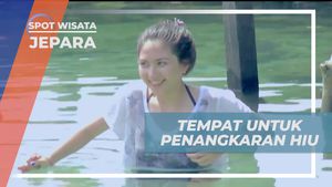 Mengunjungi Penangkaran Hiu yang Menarik di Jepara