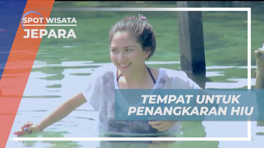 Mengunjungi Penangkaran Hiu yang Menarik di Jepara