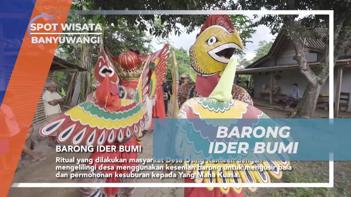 Mengikuti Ritual Barong Ider Bumi yang Meriah di Desa Osing Kemiren, Banyuwangi