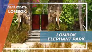 Menjelajahi Dunia Satwa di Elephant Park, Lombok