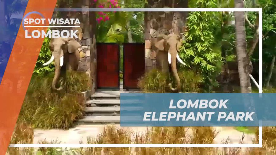 Menjelajahi Dunia Satwa di Elephant Park, Lombok