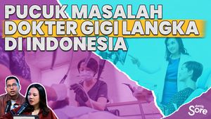 Ketum PDGI Bicara Insentif dan Jenjang Karir Dokter Gigi di Wilayah Pelosok