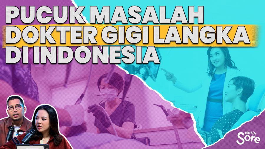 Ketum PDGI Bicara Insentif dan Jenjang Karir Dokter Gigi di Wilayah Pelosok