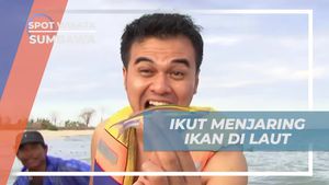 Menjaring Ikan Bersama Nelayan di Laut Gili Kramat, Sumbawa