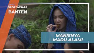 Mengambil Madu Alami Bersama Warga Suku Baduy di Hutan Banten