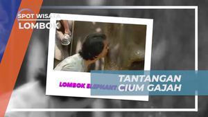 Menantang Diri untuk Mencium Gajah di Lombok