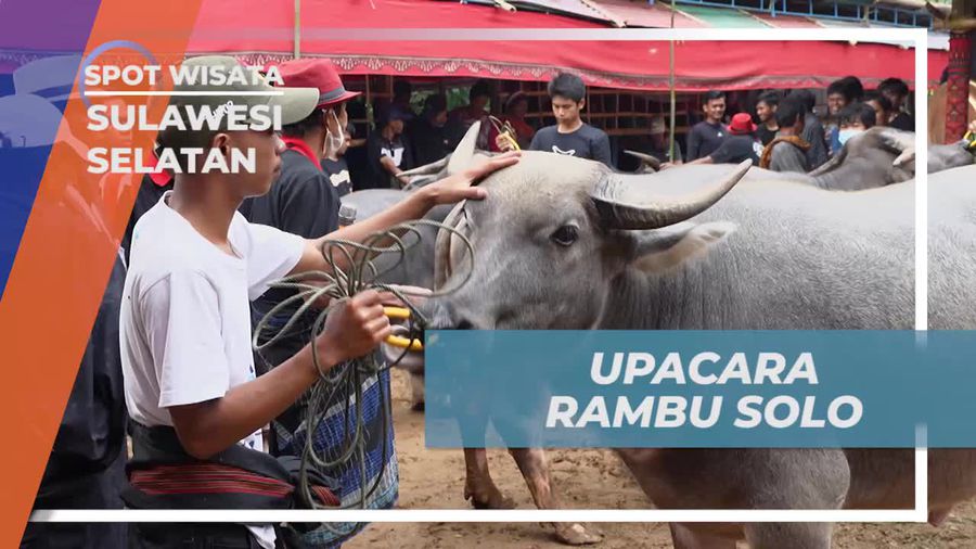 Mengikuti Rangkaian Prosesi Upacara Rambu Solo yang Penuh Makna, Toraja, Sulawesi Selatan
