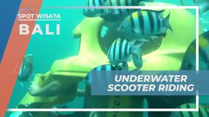 Menyelami Keasyikan Mengendarai Underwater Scooter di Pantai Melasti, Bali