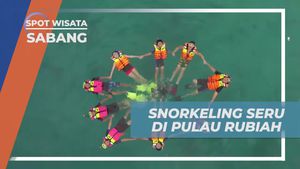 Serunya Snorkeling di Spot Terkenal Pulau Rubiah yang Menakjubkan, Sabang
