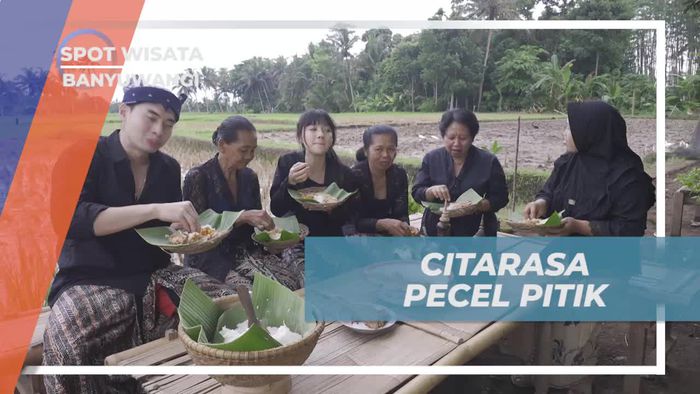 Menikmati Citarasa Pecel Pitik di Tengah Pemandangan Sawah yang Indah di Banyuwangi