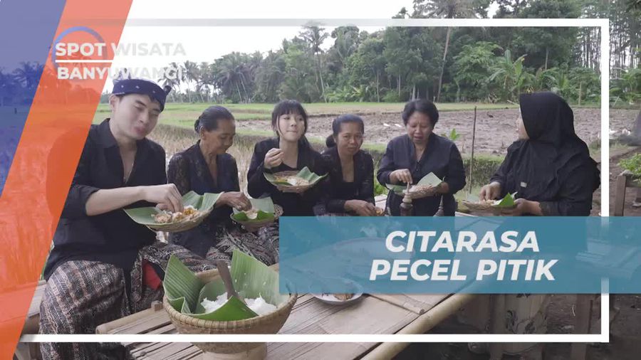Menikmati Citarasa Pecel Pitik di Tengah Pemandangan Sawah yang Indah di Banyuwangi