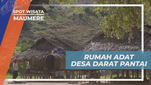 Mengagumi Keunikan Rumah Adat di Desa Darat Pantai, Maumere