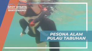 Mengagumi Pesona Alam Pulau Tabuhan di Banyuwangi