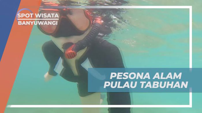 Mengagumi Pesona Alam Pulau Tabuhan di Banyuwangi