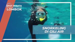Menyelam ke Keindahan Bawah Laut Gili Air, Lombok saat Snorkeling