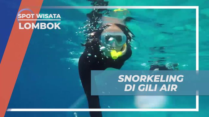 Menyelam ke Keindahan Bawah Laut Gili Air, Lombok saat Snorkeling