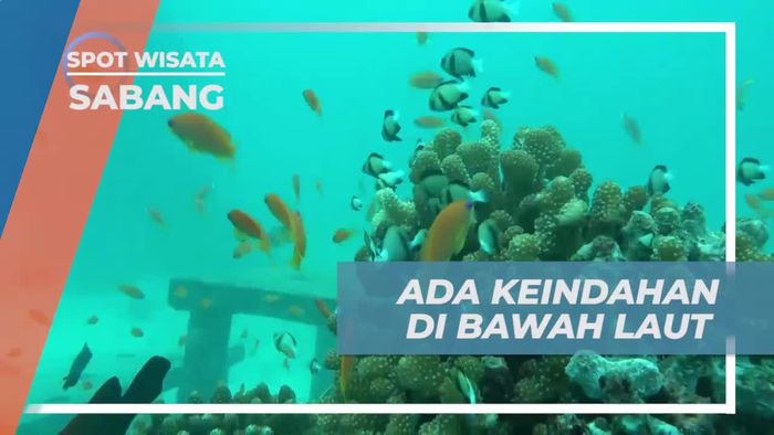 Menemukan Keindahan Bawah Laut Pulau Rubiah yang Mengh mesmerize , Sabang
